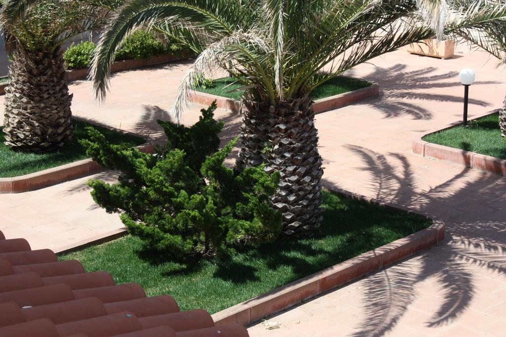 Hotel Domus 3*