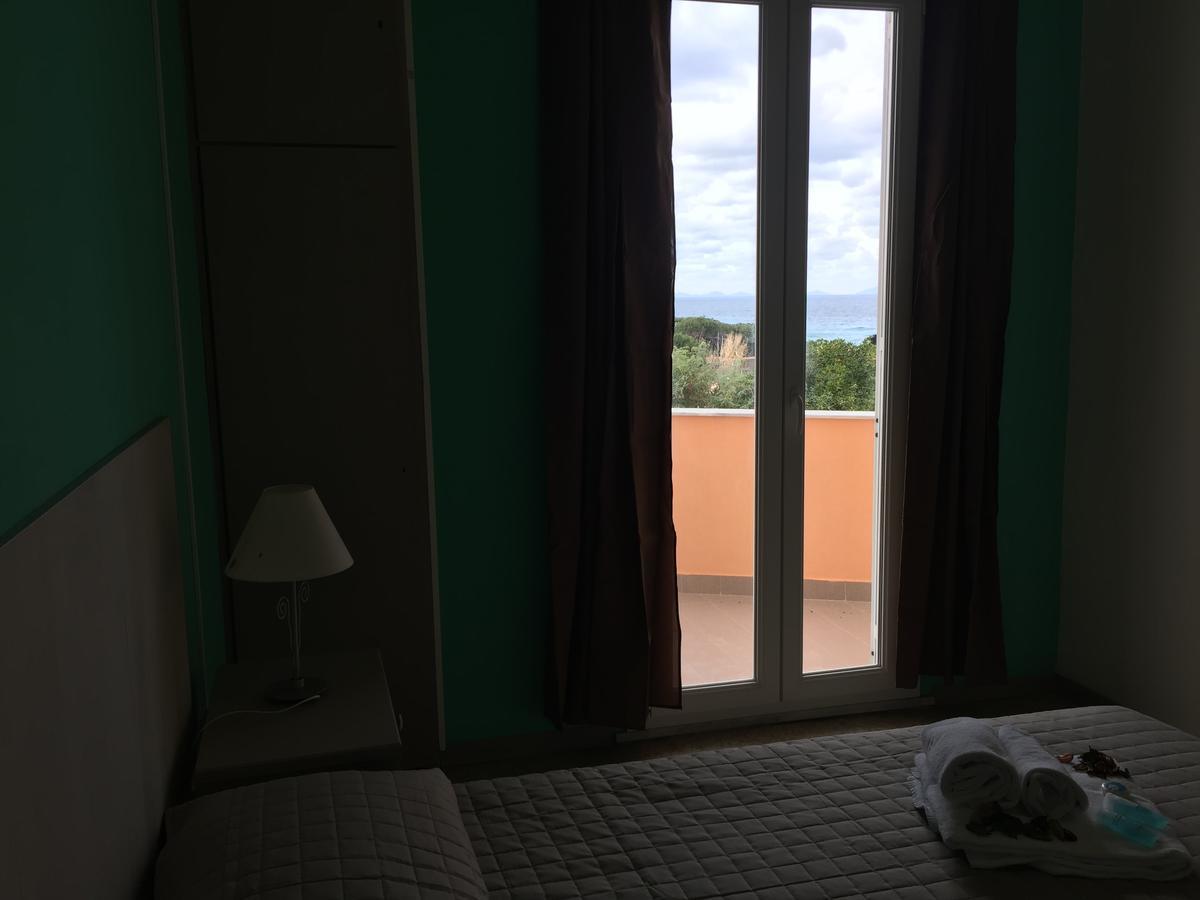 Domus 3*